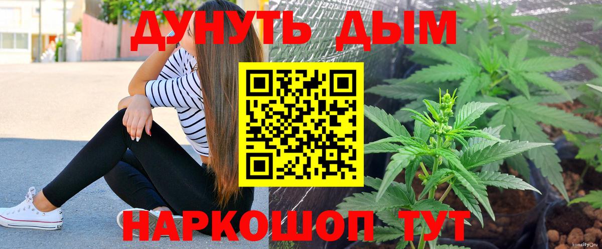 Бошки Шишки конопля  Вход с VPN  Конопля THC 21%  Тобольск  Шишки марихуана VHQ 
